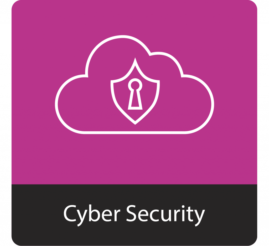 Icon Cyber Security