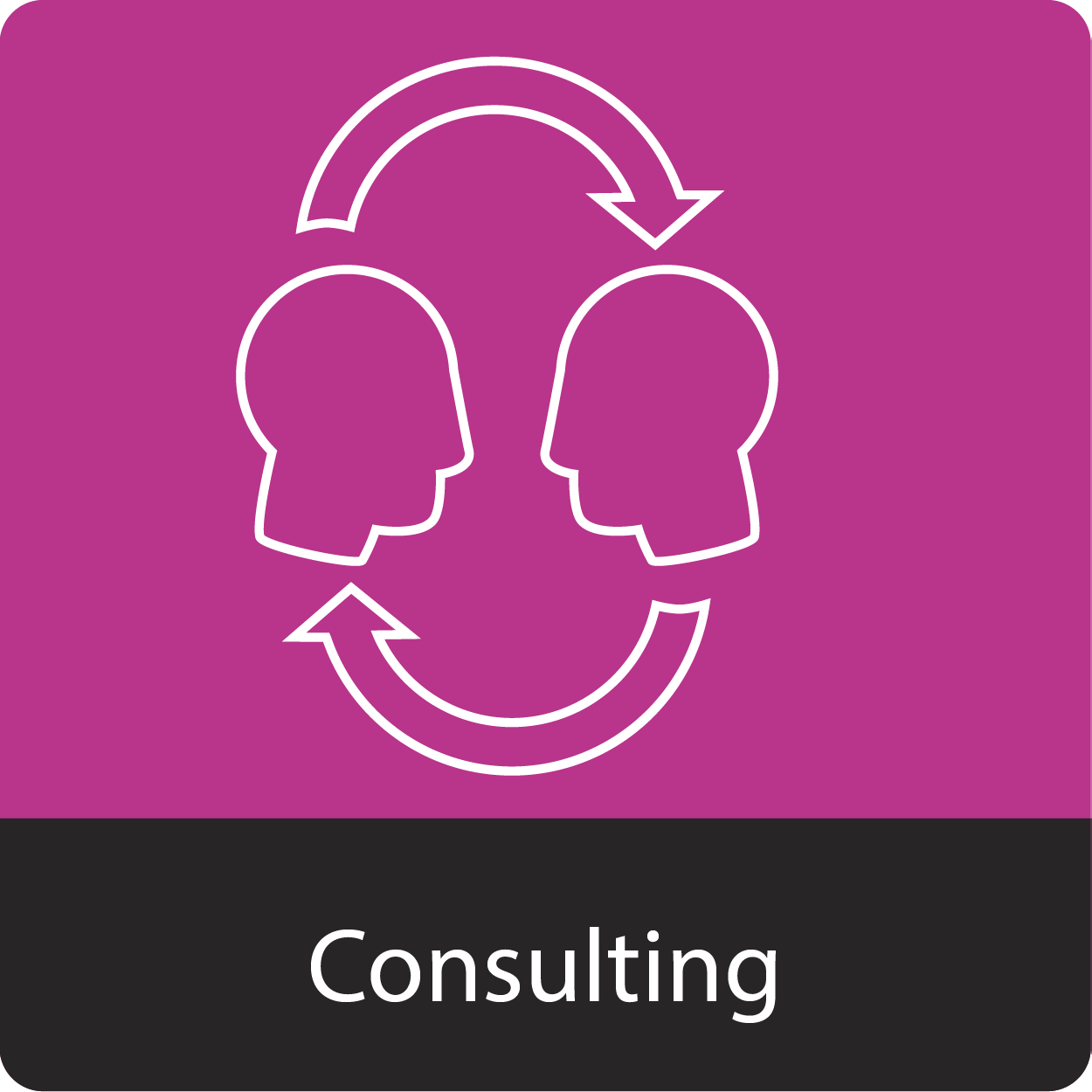 icon_consulting