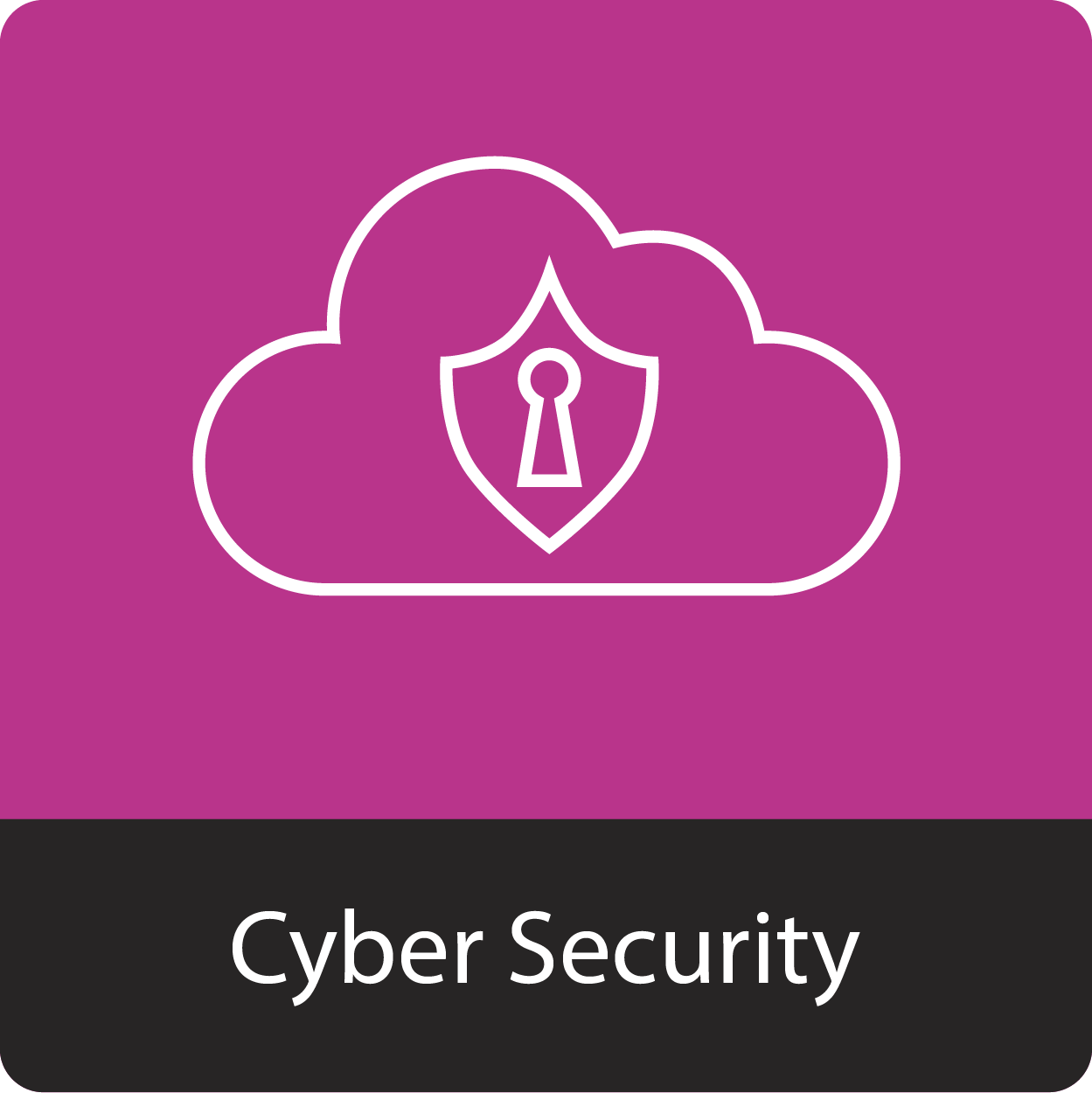 icon_cyber_security