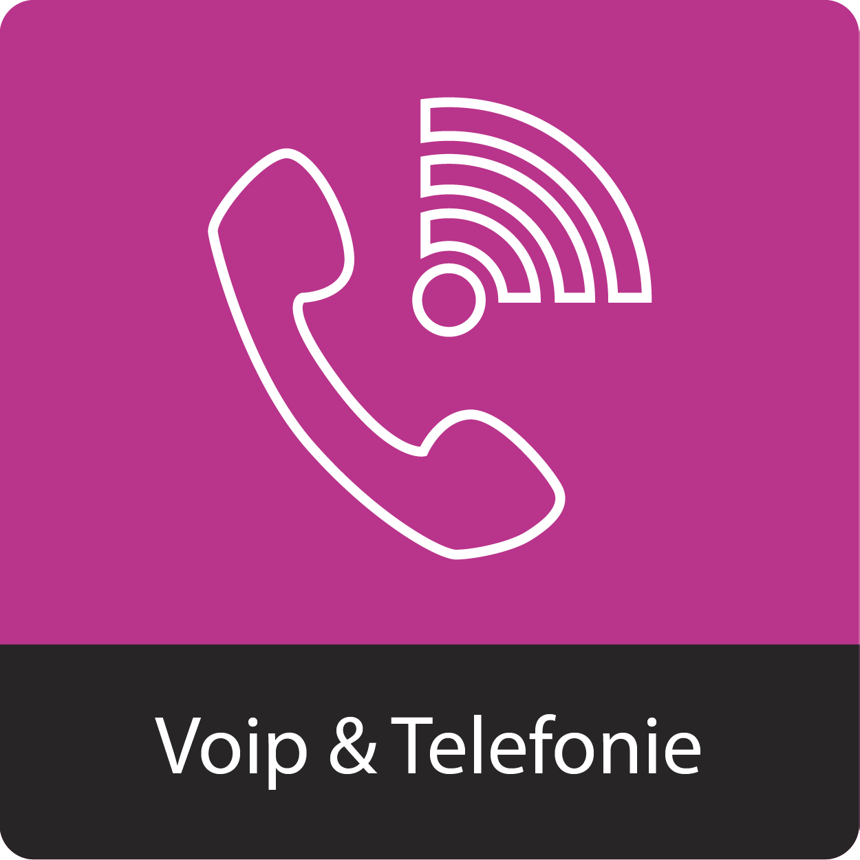 icon_VOIP_telefonie